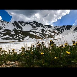 Meet your Posher, Angela